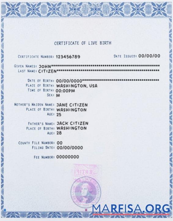 Blank Washington certificate of live birth example